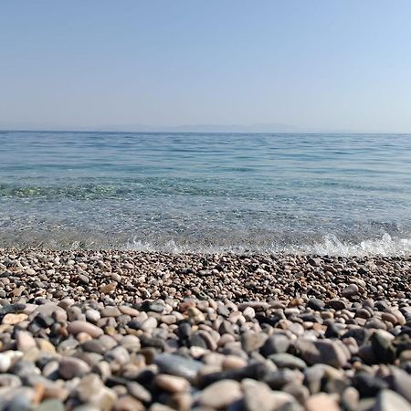 Zen Minimal Luxury Housing Tyros Villa Dış mekan fotoğraf
